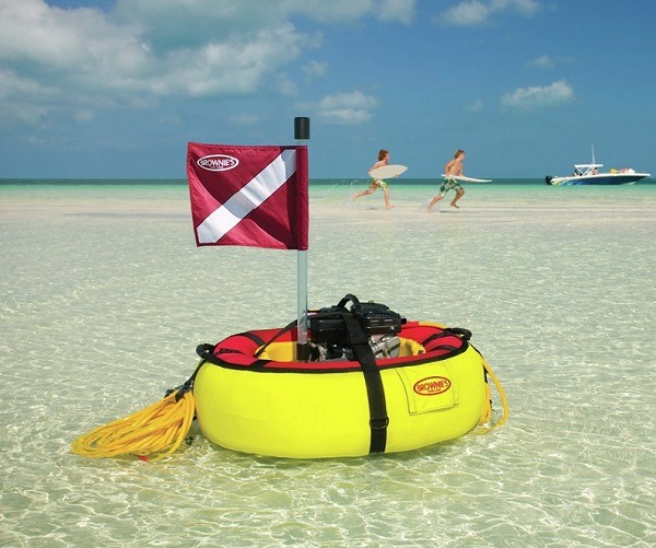 Brownies-Sea-Lion-electric-battery-Hookah-main-full-photo-600x501-1