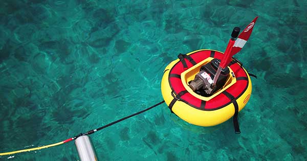 sea-lion-third-lung-overhead